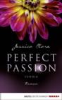 Image for Perfect Passion - Sundig: Roman