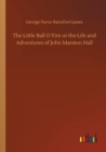 Image for The Little Ball OFire or the Life and Adventures of John Marston Hall