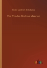 Image for The Wonder-Working Magician