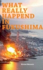 Image for What really happened in Fukushima