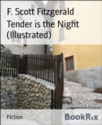 Image for Tender Is the Night (Illustrated)