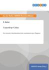 Image for Copyshop China : Der deutsche Maschinenbau leidet zunehmend unter Plagiaten