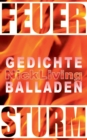 Image for Feuersturm : Gedichte und Balladen