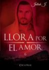 Image for Llora por el amor 6 : Cicatriz