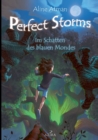 Image for Perfect Storms