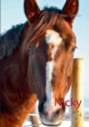 Image for Nicky