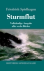 Image for Sturmflut