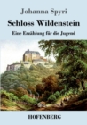Image for Schloss Wildenstein : Eine Erzahlung fur die Jugend
