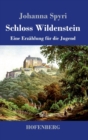 Image for Schloss Wildenstein : Eine Erzahlung fur die Jugend