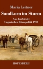 Image for Sandkorn im Sturm