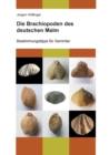 Image for Die Brachiopoden des deutschen Malm : Bestimmungstipps fur Sammler