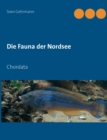 Image for Die Fauna der Nordsee