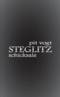 Image for Steglitz : Schicksale