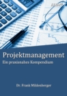 Image for Projektmanagement : Ein praxisnahes Kompendium