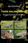 Image for Tiger Salamanders