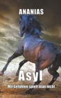 Image for Asyl
