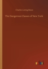 Image for The Dangerous Classes of New York