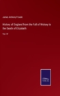 Image for History of England from the Fall of Wolsey to the Death of Elizabeth : Vol. IV