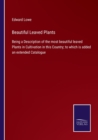 Image for Beautiful Leaved Plants