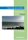 Image for Naturwissenschaften : Schwingungen