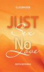 Image for Just Sex - No Love 3 : (K)ein Liebesroman