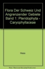Image for Flora Der Schweiz Und Angrenzender Gebiete Band 1: Pteridophyta - Caryophyllaceae