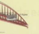 Image for Calatrava Bridges