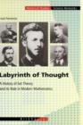 Image for Labyrinth of Thought
