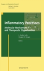 Image for Inflammatory Processes : Molecular Mechanisms and Therapeutic Opportunities