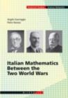 Image for Italian mathematics between the two world wars