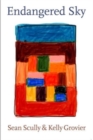 Image for Endangered Sky: Sean Scully &amp; Kelly Grovier