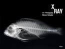 Image for X-Ray