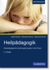 Image for Heilpadagogik: Heilpadagogische Handlungskonzepte in der Praxis