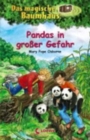 Image for Pandas in grosser Gefahr