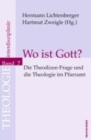 Image for Theologie InterdisziplinAr : Die Theodizee-Frage und die Theologie im Pfarramt