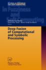 Image for Deep Fusion of Computational and Symbolic Processing