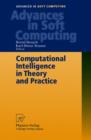 Image for Computational Intelligence in Theory and Practice