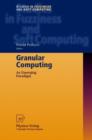 Image for Granular Computing : An Emerging Paradigm