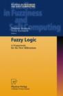 Image for Fuzzy Logic : A Framework for the New Millennium