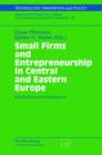 Image for Small Firms and Entrepreneurship in Central and Eastern Europe