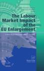 Image for The labour market impact of the EU enlargement: a new regional geography of Europe?