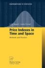 Image for Price Indexes in Time and Space