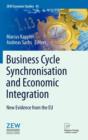 Image for Business Cycle Synchronisation and Economic Integration