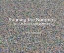 Image for Running the numbers  : an American self-portrait