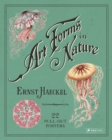 Image for Ernst Haeckel: Art Forms in Nature: 22 Pull-Out Posters
