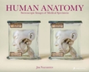 Image for Human anatomy  : stereoscopic images of medical specimens