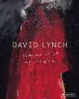 Image for David Lynch - someone is in my house