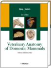 Image for Veterinary Anatomy of Domestic Mammals