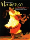 Image for Flamenco : Guitar Method