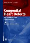Image for Congenital Heart Defects : Decision Making for Cardiac Surgery : v. 2 : Less Common Defects